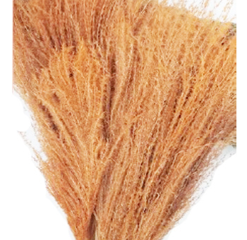 Reed Pampas Grass Rustic Orange Preserved